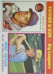 1976 Topps Baseball Cards      069      Jim/Mike Hegan FS